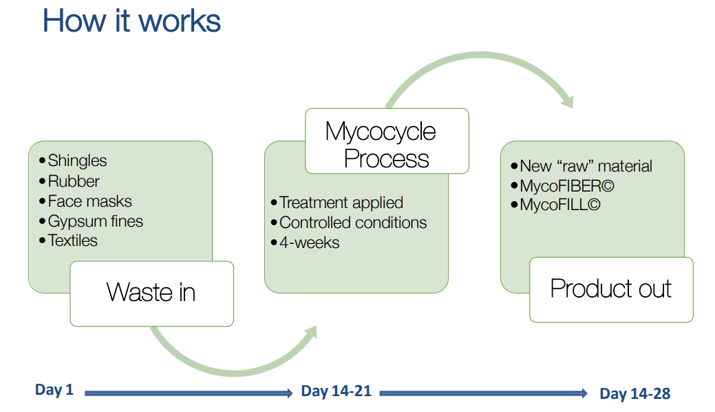 Mycocycle: Waste transformation using fungi